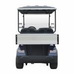 LVTONG 48V Electric 4-Seater Cargo Golf Cart