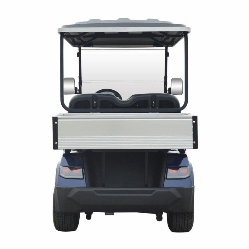 LVTONG 48V Electric 4-Seater Cargo Golf Cart