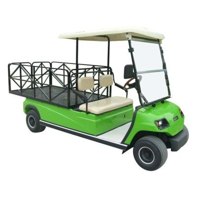 Lvtong LT-A2.H8 Electric 2-Passenger Low-Speed Farm Utility Vehicle